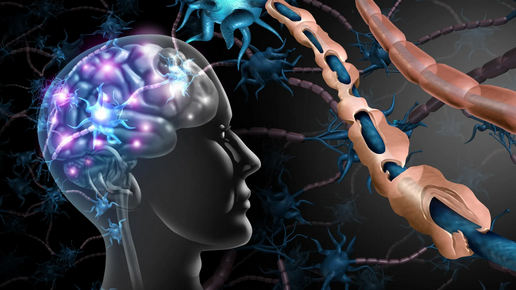 Новые соединения для восстановления нервов при рассеянном склерозе